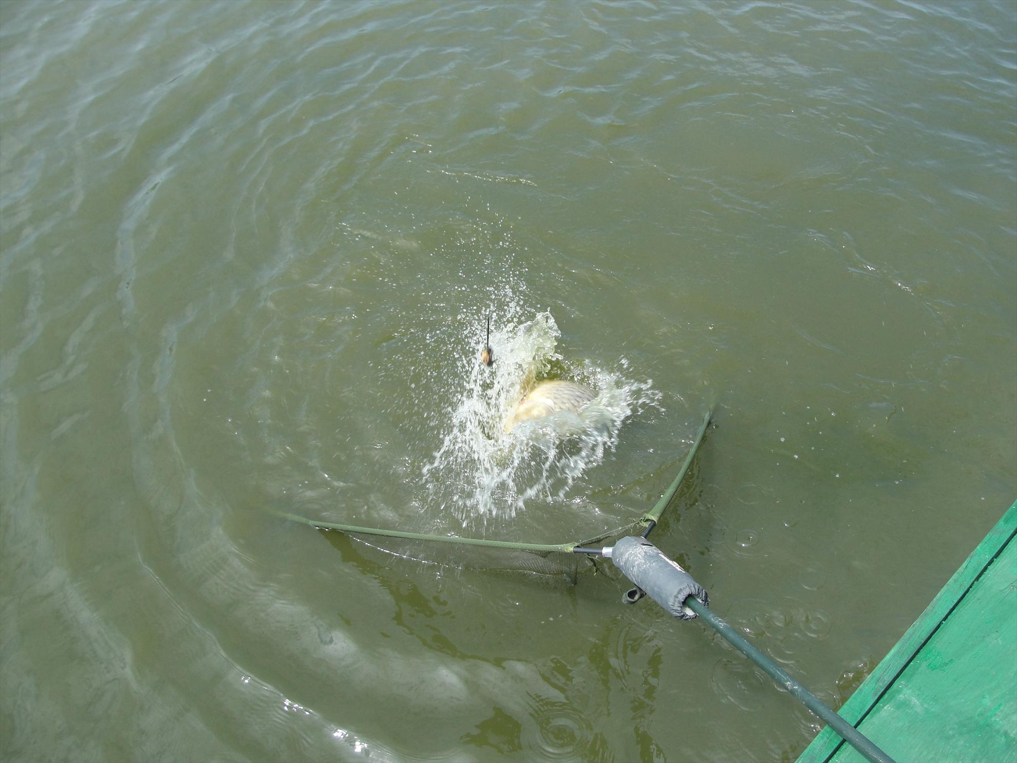 Moara Vlasiei 2 9 - 9 iun. - se lasa greu